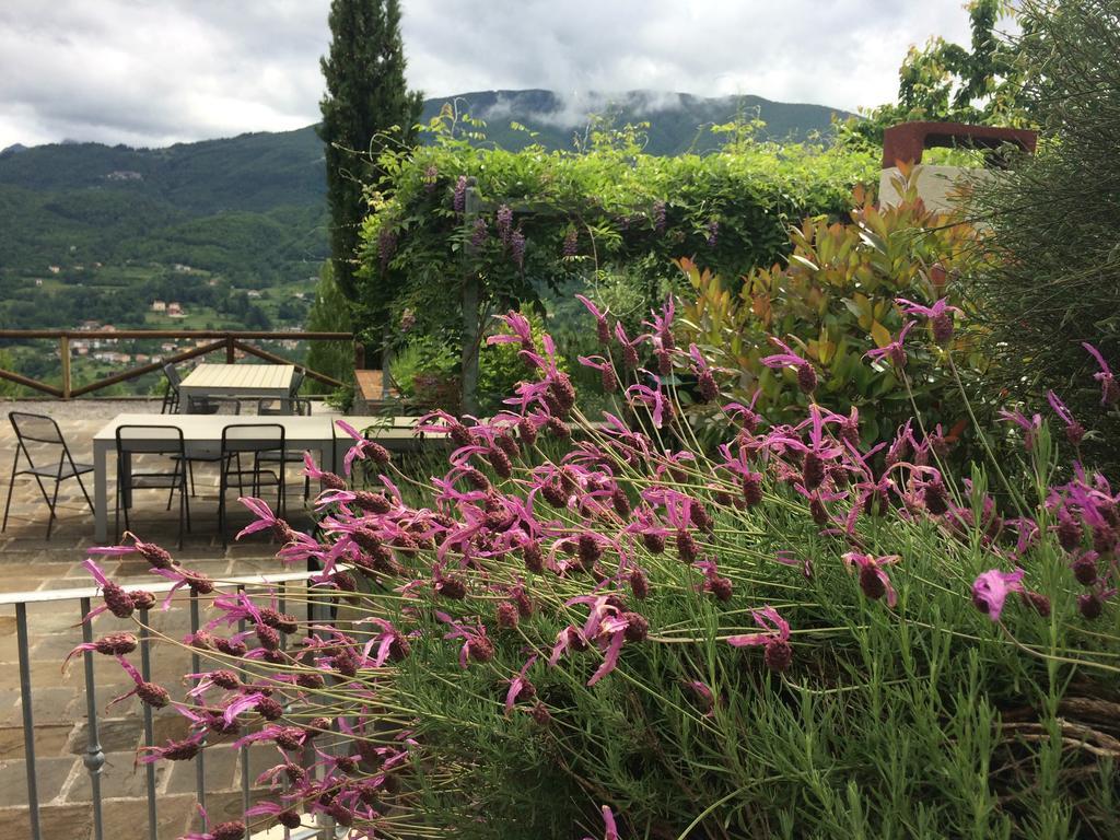 Agriturismo Braccicorti Hotel Pieve Fosciana Zewnętrze zdjęcie