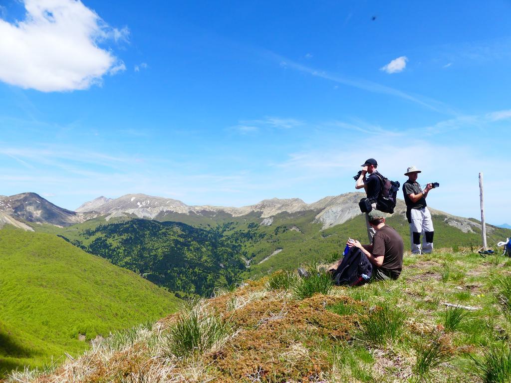 Agriturismo Braccicorti Hotel Pieve Fosciana Zewnętrze zdjęcie