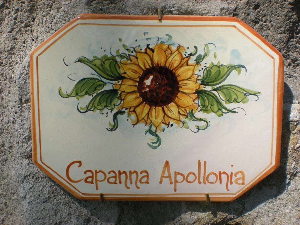 Agriturismo Braccicorti Hotel Pieve Fosciana Zewnętrze zdjęcie